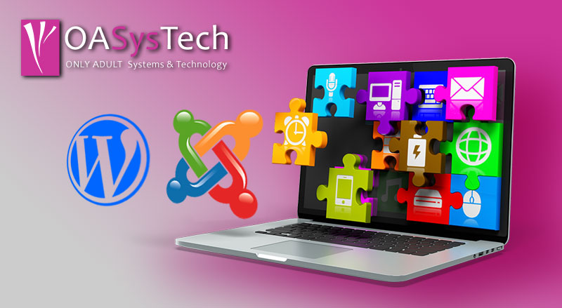 Choosing The Right CMS For Your Porn Website